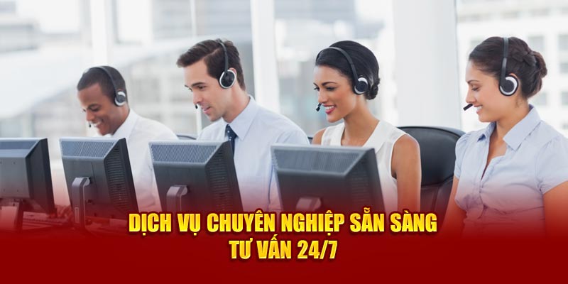 Dịch vụ chuyên nghiệp sẵn sàng tư vấn 24/7 